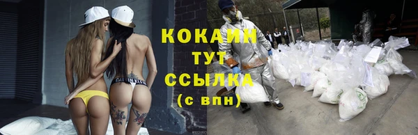 гашиш Дмитриев