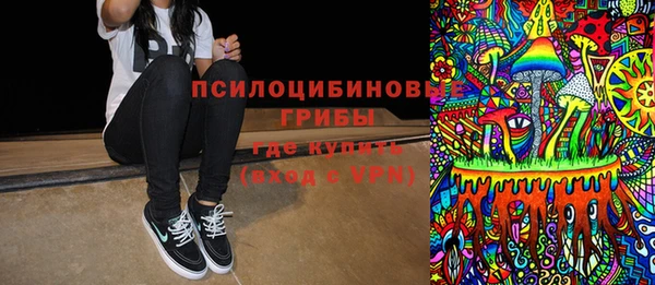 прущий лед Дмитров