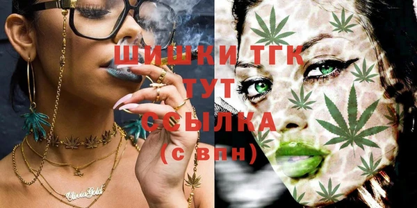прущий лед Дмитров