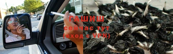 ПСИЛОЦИБИНОВЫЕ ГРИБЫ Дмитровск