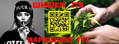 индика Заволжье