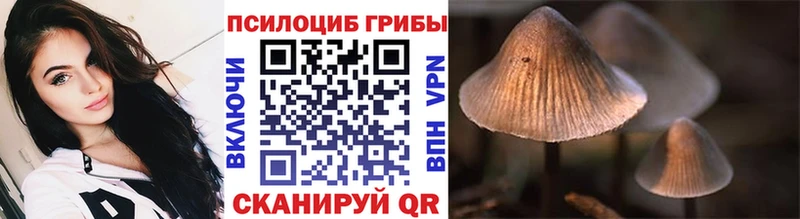 Галлюциногенные грибы GOLDEN TEACHER  Обь 