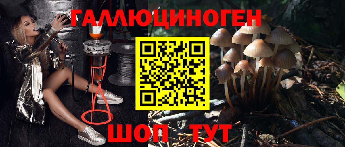 Псилоцибиновые грибы ЛСД  Вход с VPN  Обь  Галлюциногенные грибы прущие грибы 